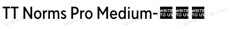 TT Norms Pro Medium字体转换